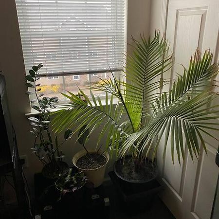 Hudson Valley Conveniently Cozy 米德尔敦 外观 照片